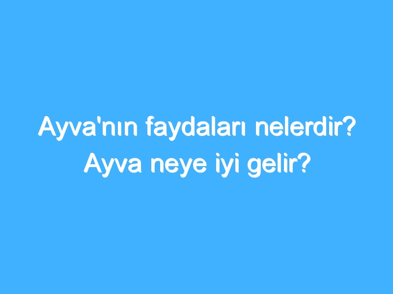 Ayva'nın faydaları nelerdir? Ayva neye iyi gelir?