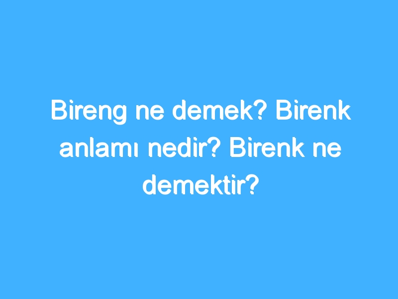 Bireng ne demek? Birenk anlamı nedir? Birenk ne demektir?