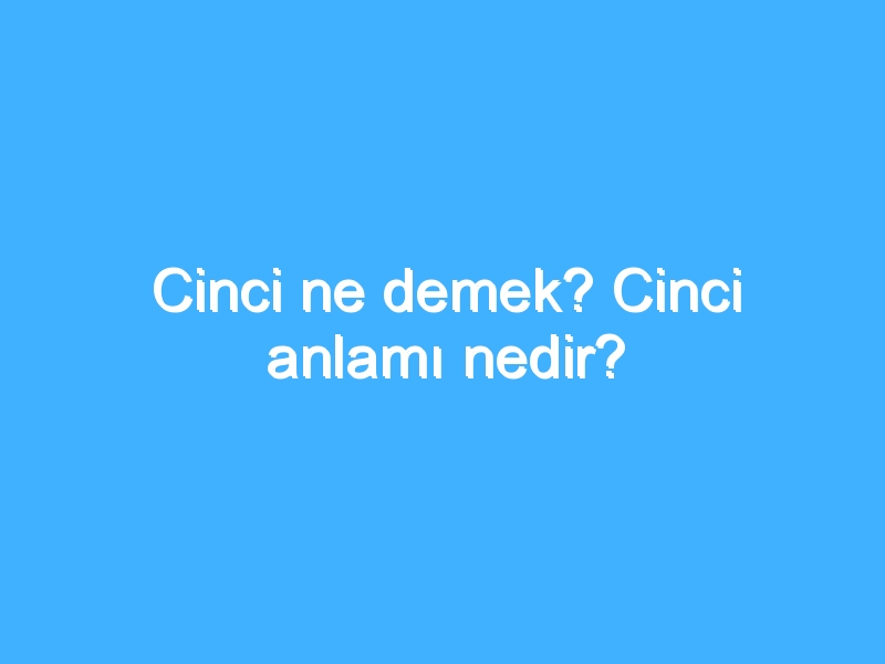 Cinci ne demek? Cinci anlamı nedir?