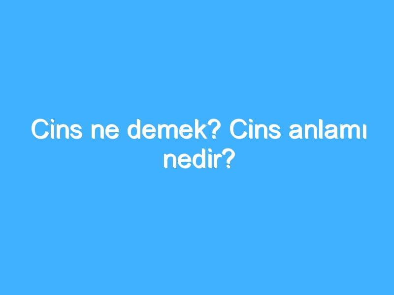 Cins ne demek? Cins anlamı nedir?