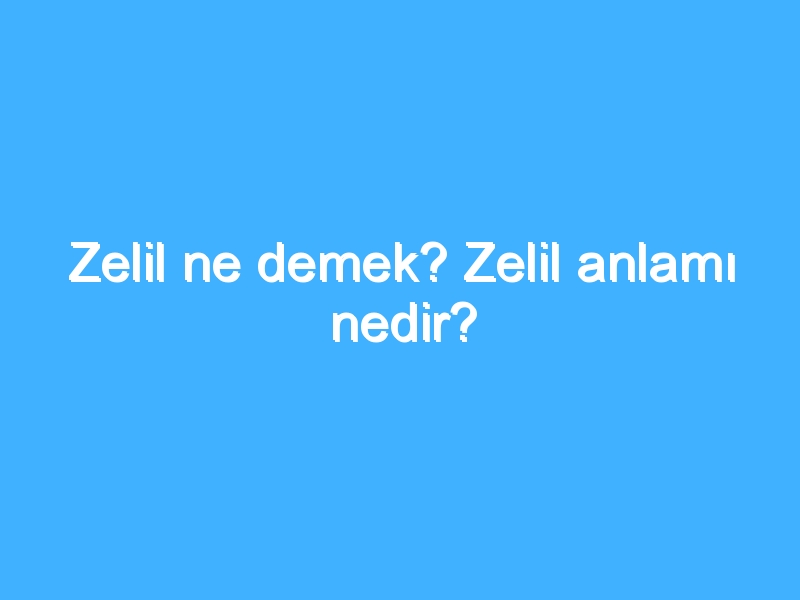 Zelil ne demek? Zelil anlamı nedir?