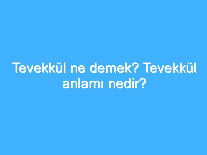 Tevekkül ne demek? Tevekkül anlamı nedir?