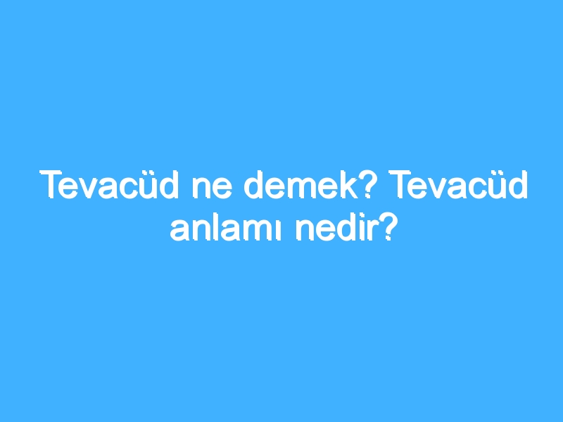 Tevacüd ne demek? Tevacüd anlamı nedir?