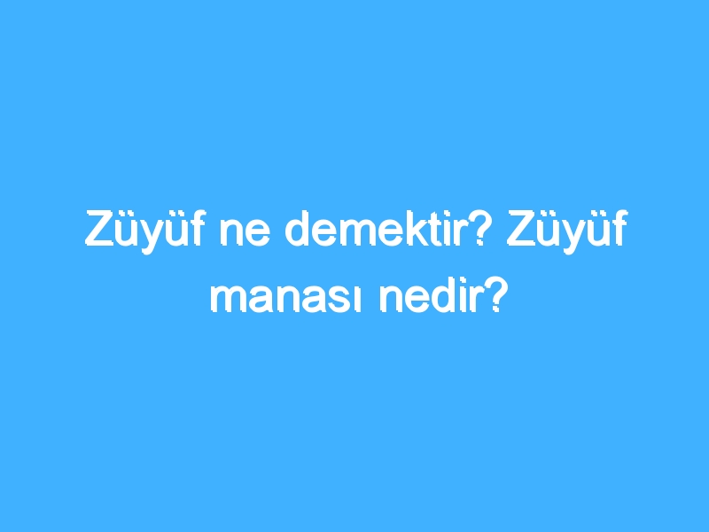 Züyüf ne demektir? Züyüf manası nedir?