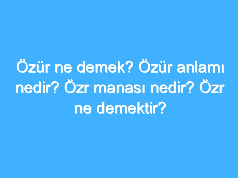 Özür ne demek? Özür anlamı nedir? Özr manası nedir? Özr ne demektir?