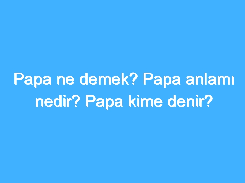 Papa ne demek? Papa anlamı nedir? Papa kime denir?