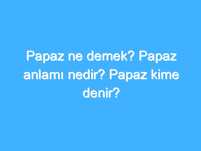 Papaz ne demek? Papaz anlamı nedir? Papaz kime denir?