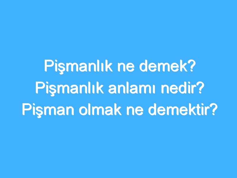 Pişmanlık ne demek? Pişmanlık anlamı nedir? Pişman olmak ne demektir?