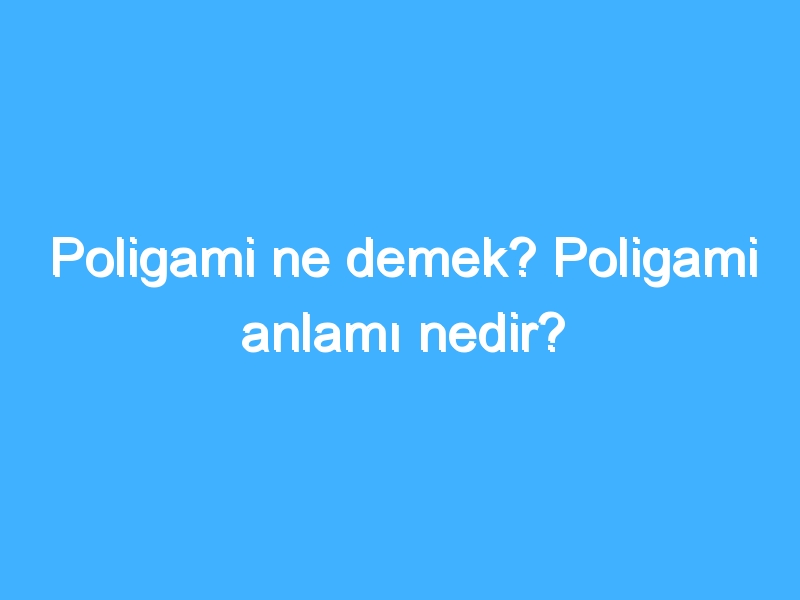 Poligami ne demek? Poligami anlamı nedir?