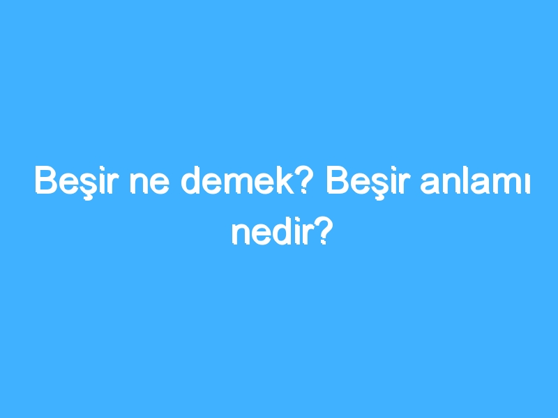 Beşir ne demek? Beşir anlamı nedir?