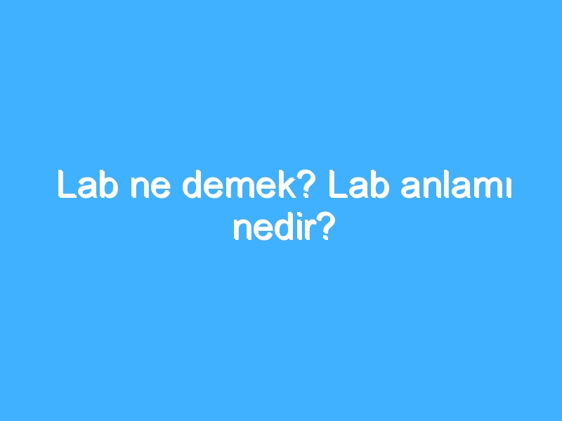 Lab ne demek? Lab anlamı nedir?