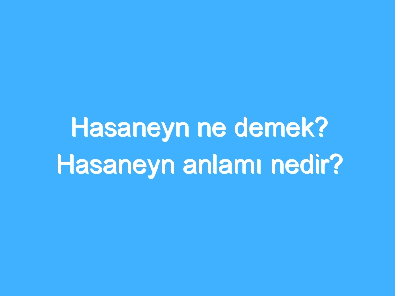 Hasaneyn ne demek? Hasaneyn anlamı nedir?