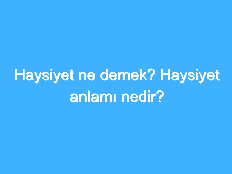 Haysiyet ne demek? Haysiyet anlamı nedir?