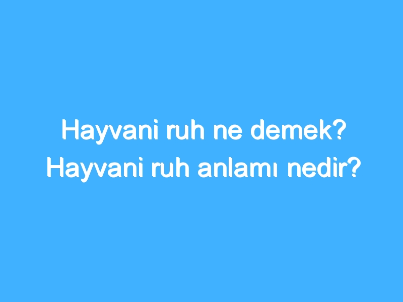 Hayvani ruh ne demek? Hayvani ruh anlamı nedir?