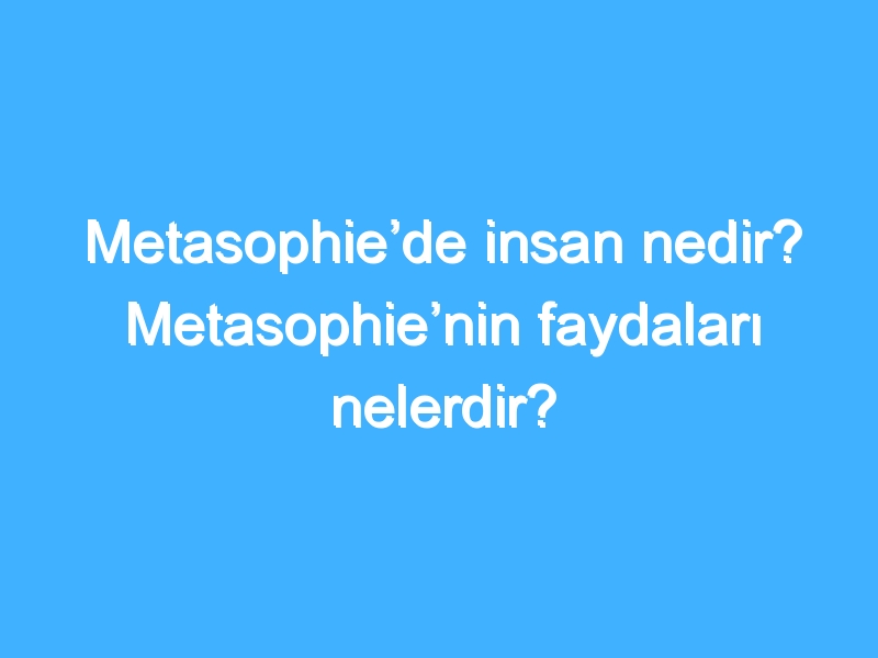 Metasophie’de insan nedir? Metasophie’nin faydaları nelerdir?