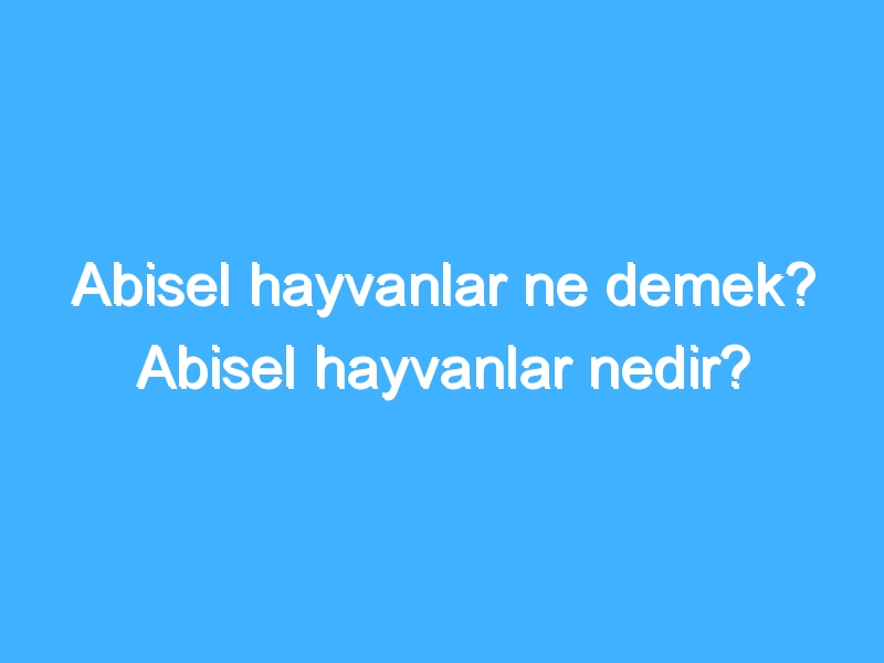 Abisel hayvanlar ne demek? Abisel hayvanlar nedir?