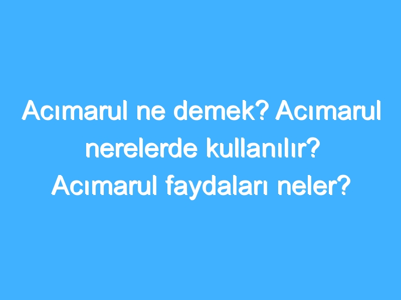 Acımarul ne demek? Acımarul nerelerde kullanılır? Acımarul faydaları neler?