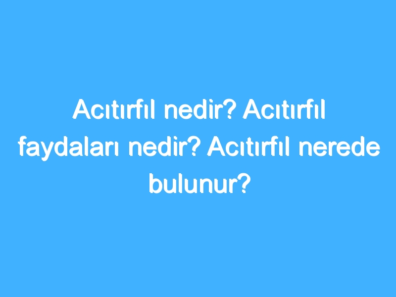 Acıtırfıl nedir? Acıtırfıl faydaları nedir? Acıtırfıl nerede bulunur?