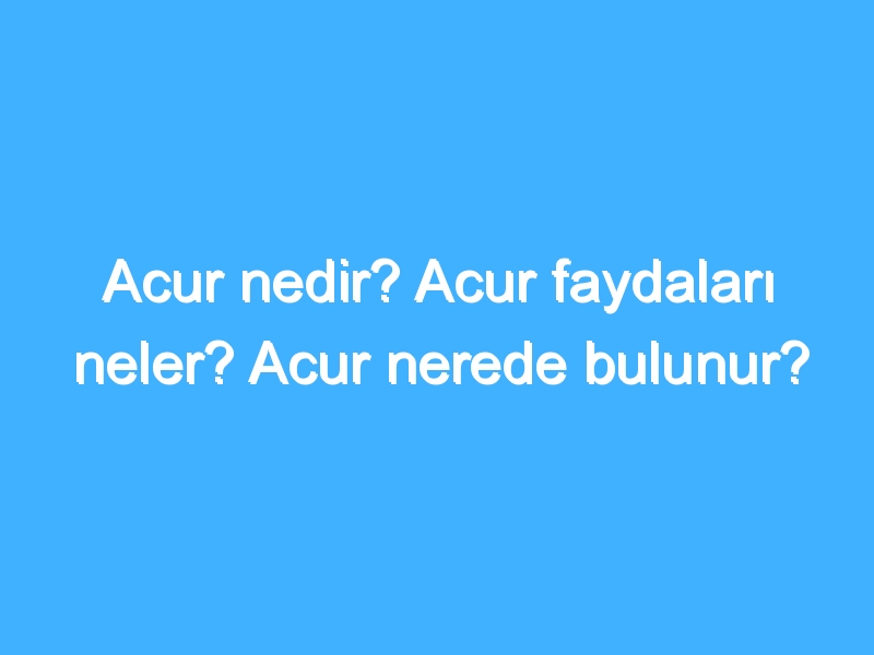 Acur nedir? Acur faydaları neler? Acur nerede bulunur?