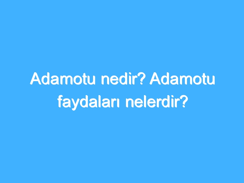 Adamotu nedir? Adamotu faydaları nelerdir?