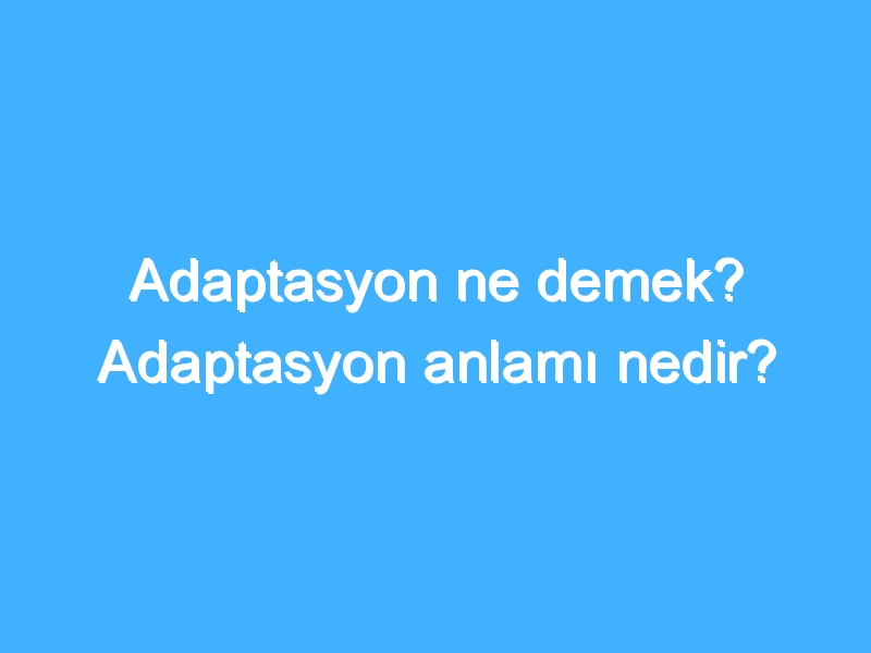 Adaptasyon ne demek? Adaptasyon anlamı nedir?