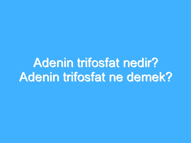 Adenin trifosfat nedir? Adenin trifosfat ne demek?