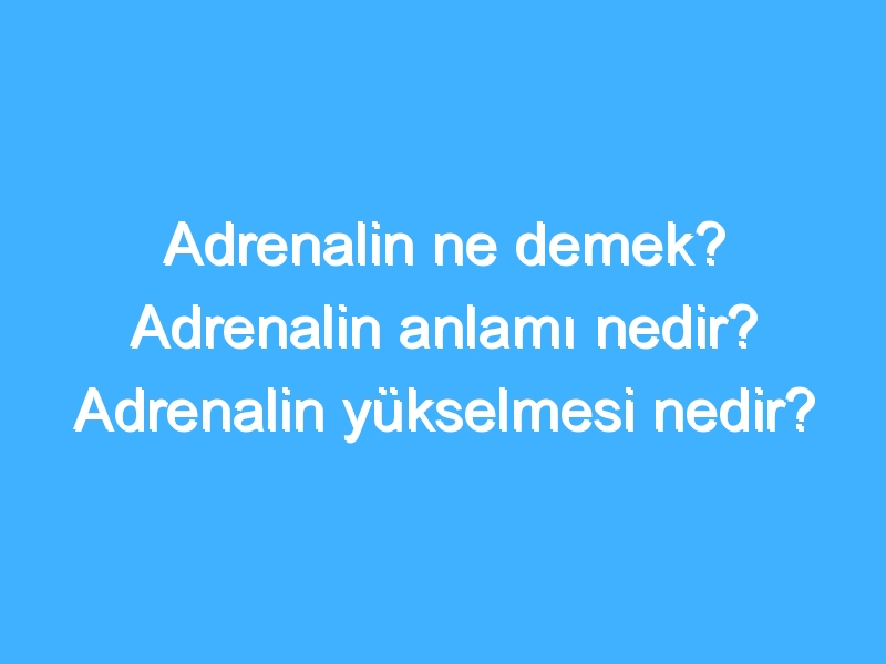 Adrenalin ne demek? Adrenalin anlamı nedir? Adrenalin yükselmesi nedir?