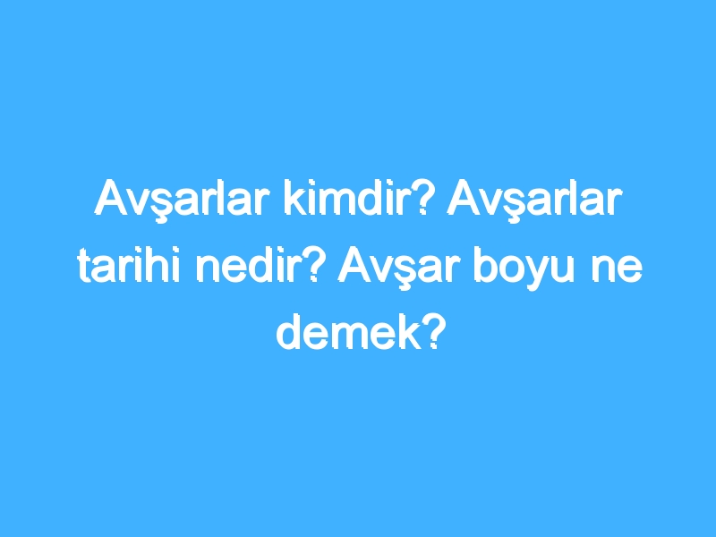 Avşarlar kimdir? Avşarlar tarihi nedir? Avşar boyu ne demek?