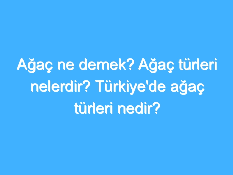 Ağaç ne demek? Ağaç türleri nelerdir? Türkiye'de ağaç türleri nedir?