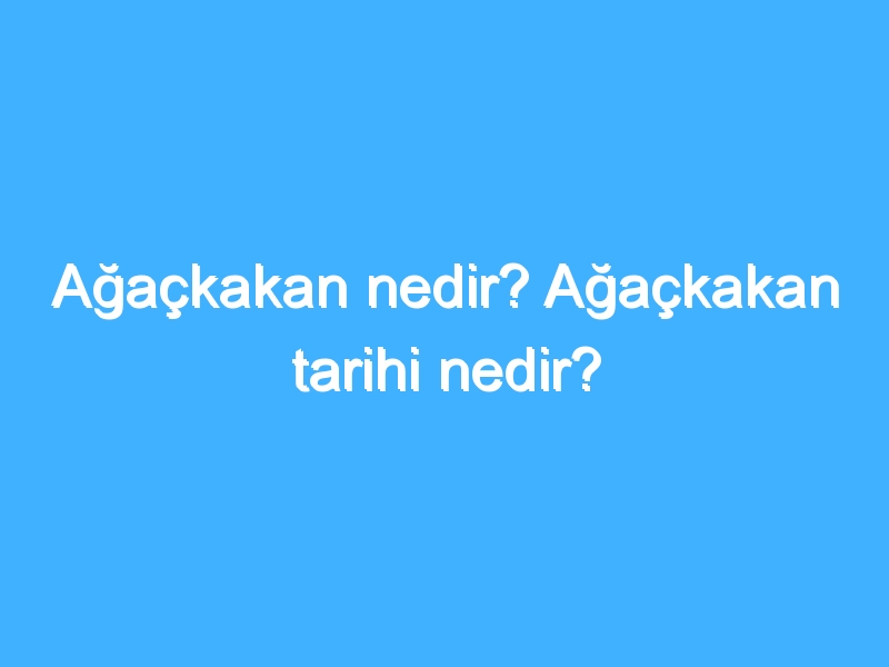 Ağaçkakan nedir? Ağaçkakan tarihi nedir?