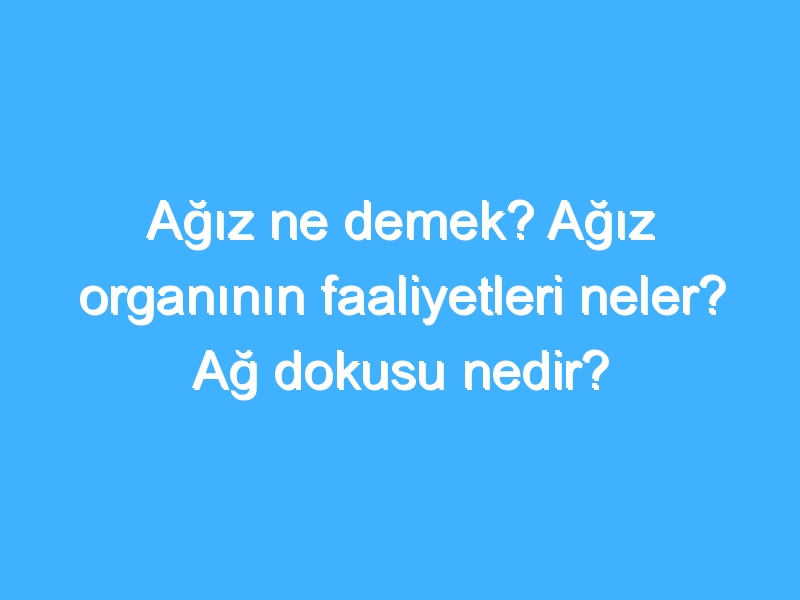 Ağız ne demek? Ağız organının faaliyetleri neler? Ağ dokusu nedir?