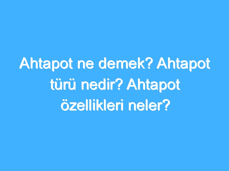 Ahtapot ne demek? Ahtapot türü nedir? Ahtapot özellikleri neler?