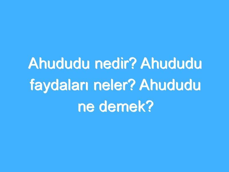 Ahududu nedir? Ahududu faydaları neler? Ahududu ne demek?