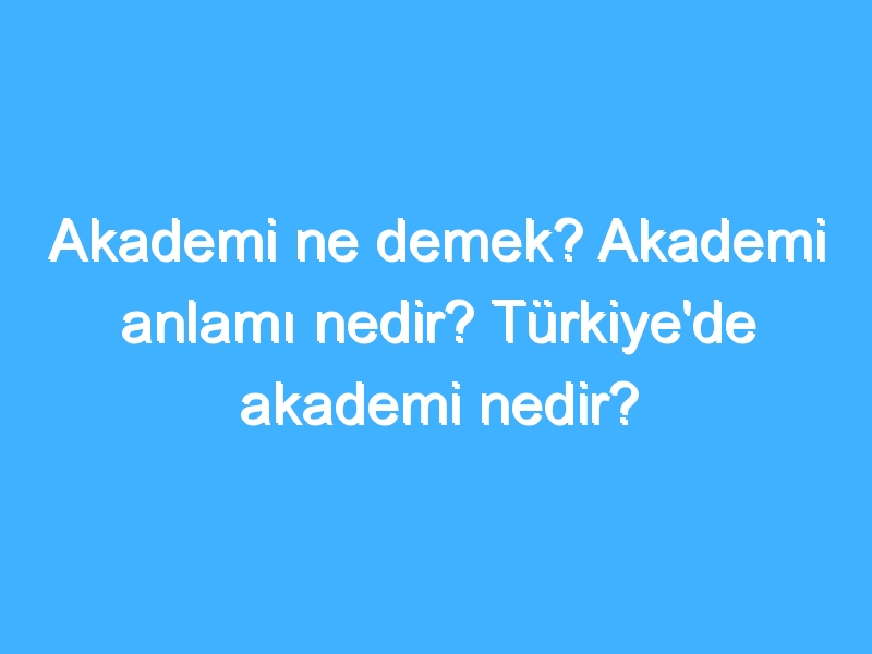 Akademi ne demek? Akademi anlamı nedir? Türkiye'de akademi nedir?