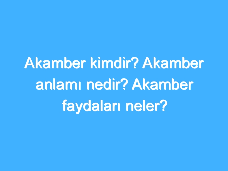 Akamber kimdir? Akamber anlamı nedir? Akamber faydaları neler?