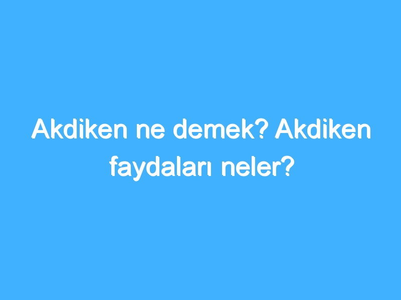 Akdiken ne demek? Akdiken faydaları neler?