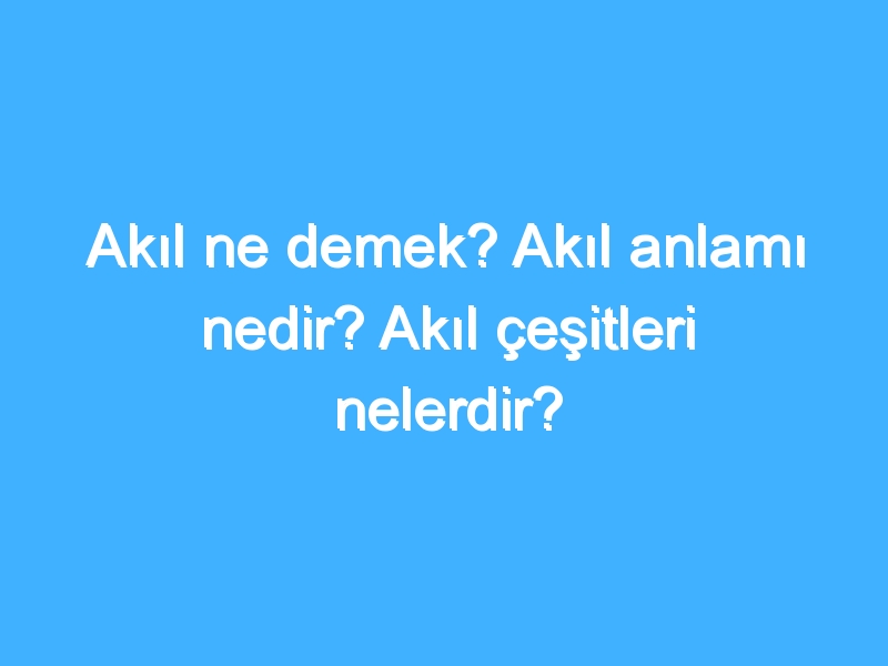 Akıl ne demek? Akıl anlamı nedir? Akıl çeşitleri nelerdir?