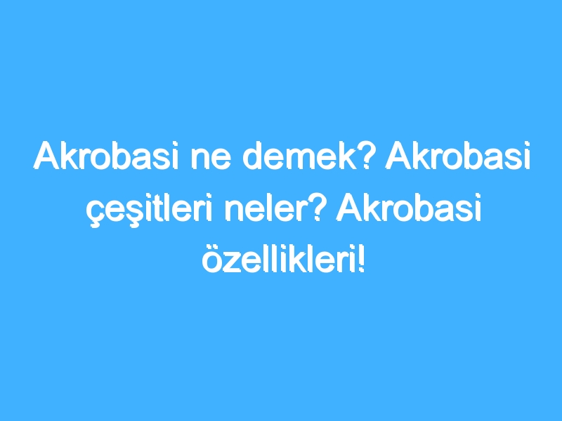 Akrobasi ne demek? Akrobasi çeşitleri neler? Akrobasi özellikleri!