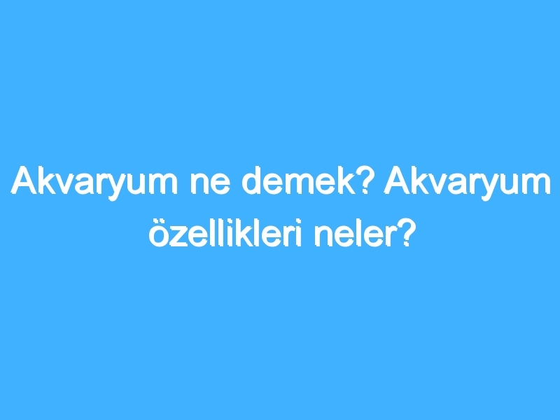 Akvaryum ne demek? Akvaryum özellikleri neler?