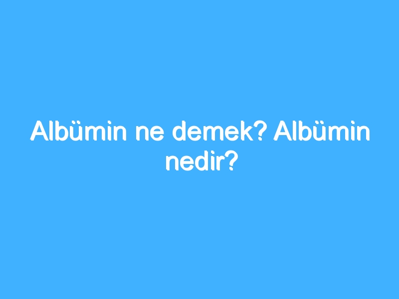 Albümin ne demek? Albümin nedir?