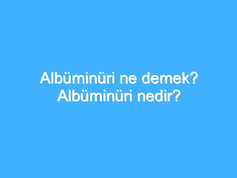 Albüminüri ne demek? Albüminüri nedir?