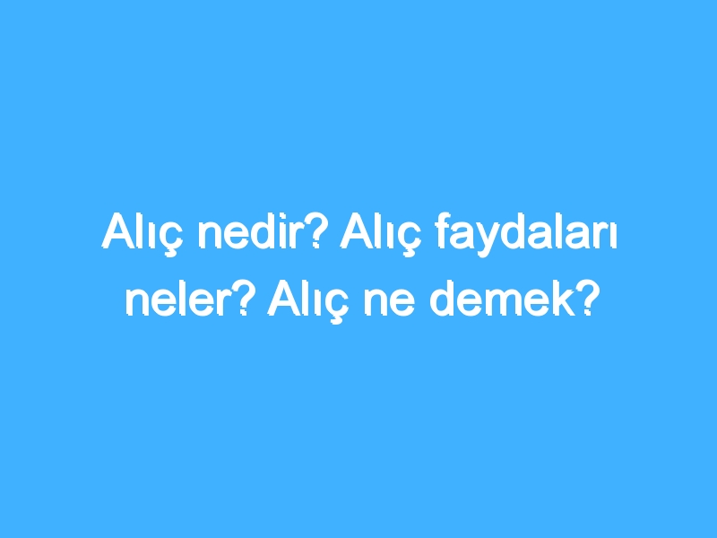 Alıç nedir? Alıç faydaları neler? Alıç ne demek?