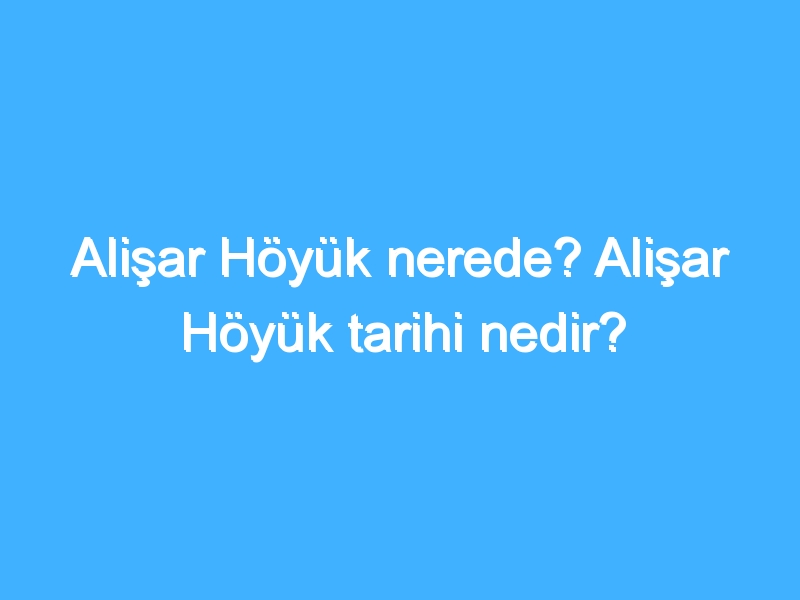 Alişar Höyük nerede? Alişar Höyük tarihi nedir?