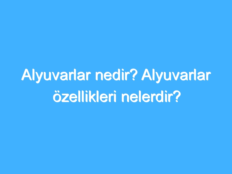 Alyuvarlar nedir? Alyuvarlar özellikleri nelerdir?