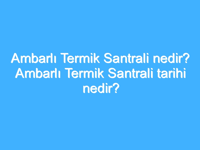 Ambarlı Termik Santrali nedir? Ambarlı Termik Santrali tarihi nedir?