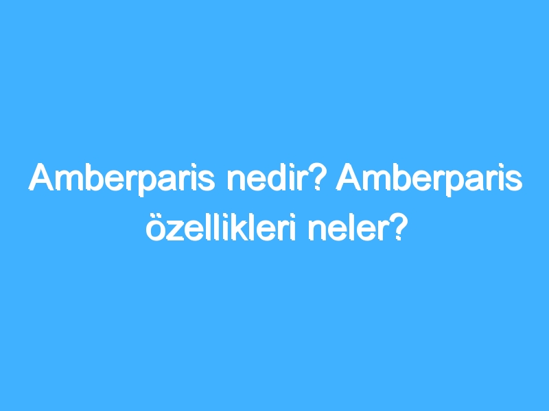 Amberparis nedir? Amberparis özellikleri neler?