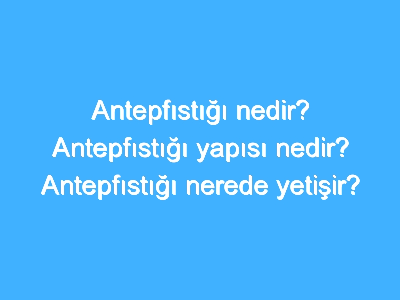 Antepfıstığı nedir? Antepfıstığı yapısı nedir? Antepfıstığı nerede yetişir? Antepfıstığı faydaları neler?