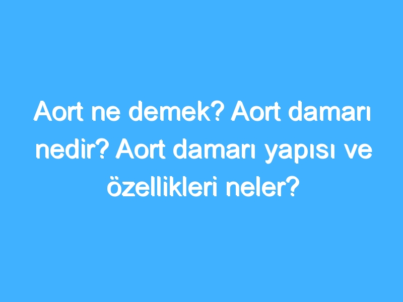 Aort ne demek? Aort damarı nedir? Aort damarı yapısı ve özellikleri neler?