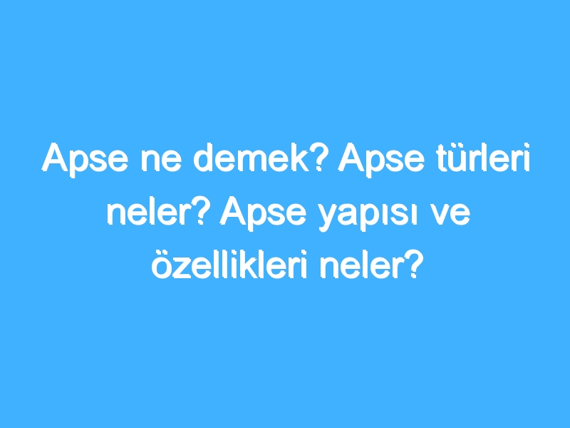 Apse ne demek? Apse türleri neler? Apse yapısı ve özellikleri neler?