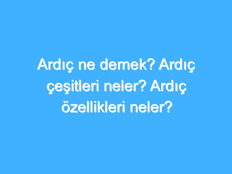 Ardıç ne demek? Ardıç çeşitleri neler? Ardıç özellikleri neler?